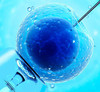 ivf-miami-2-61b1f2704114b.jpg